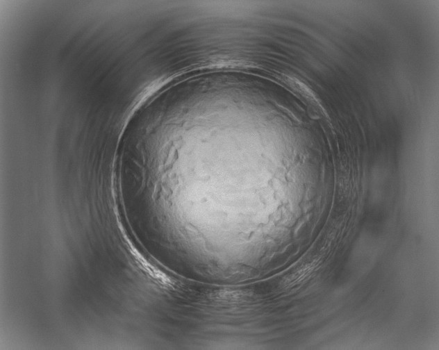 X0000057040847200509231445