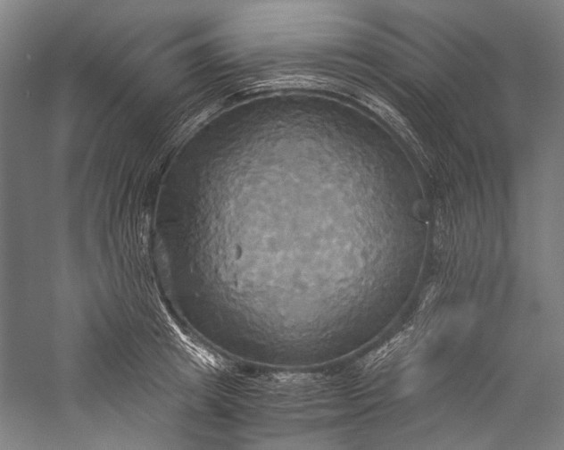X0000057040849200509231445