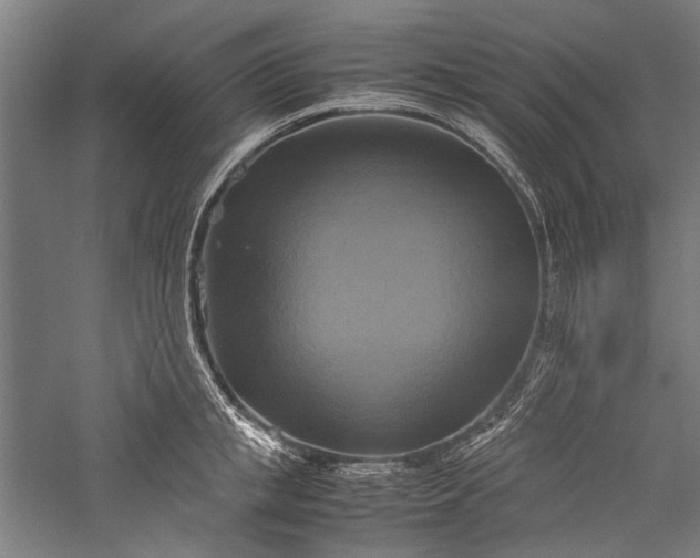 X0000057040853200509231445