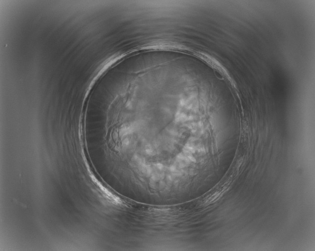 X0000057040855200509231445