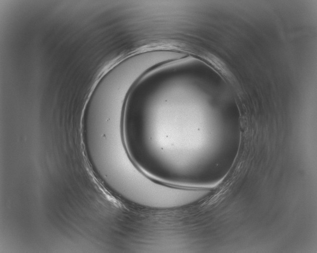 X0000057040858200509231445