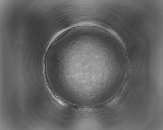 X0000057040862200509231445