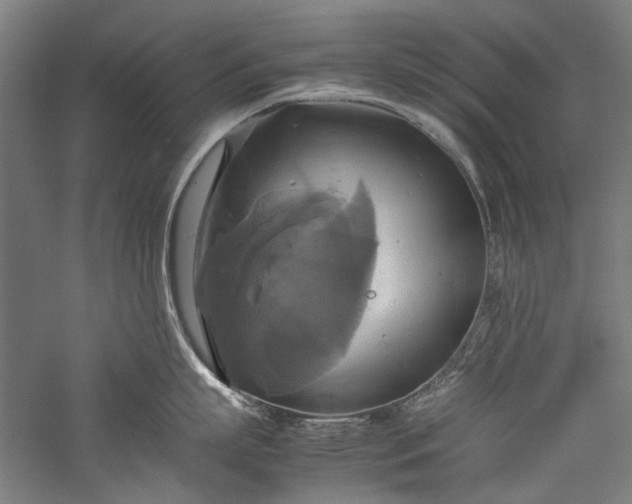 X0000057040863200509231445