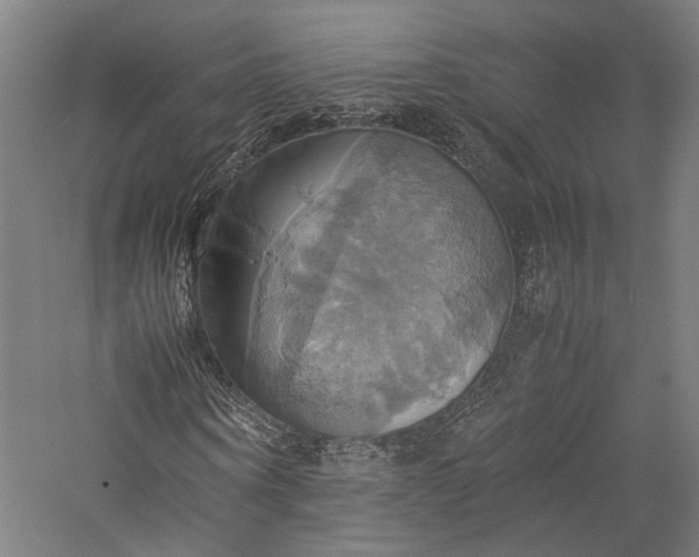 X0000057040866200509231444