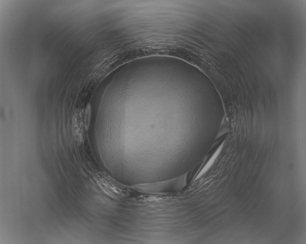 X0000057040868200509231444