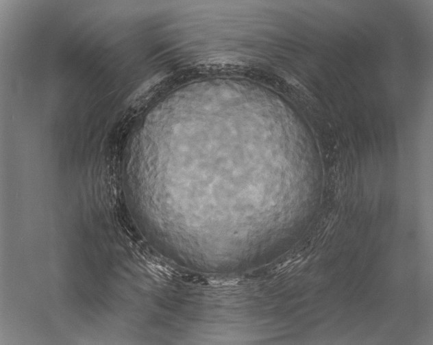 X0000057040870200509231444