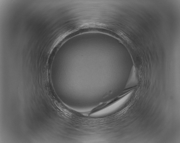 X0000057040877200509231444