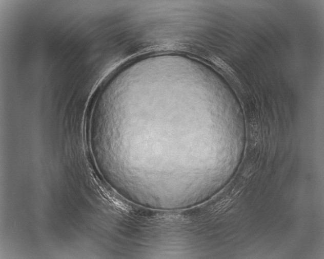 X0000057040886200509231444
