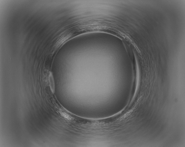X0000057040889200509231444
