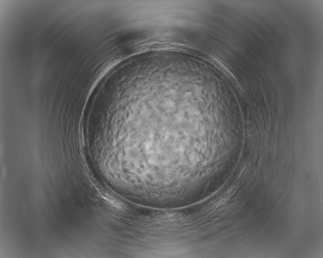 X0000057040891200509231444