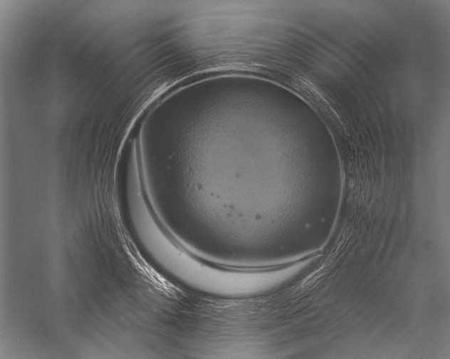 X0000057040892200509231444