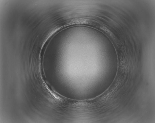 X0000057040894200509231444