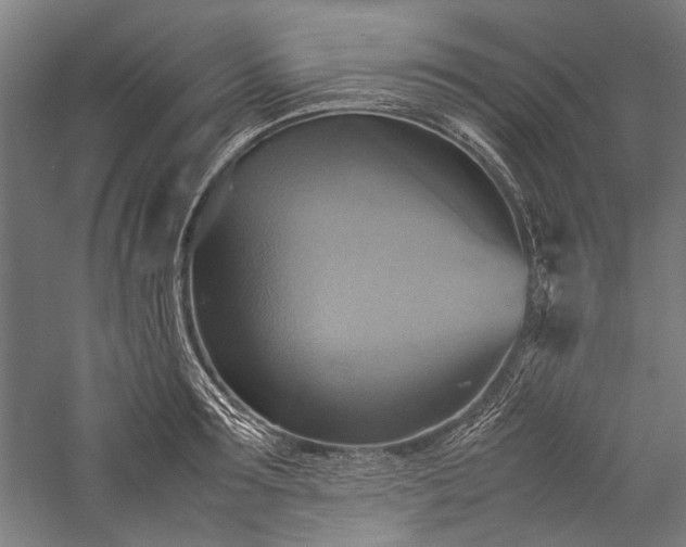 X0000057040899200509231444