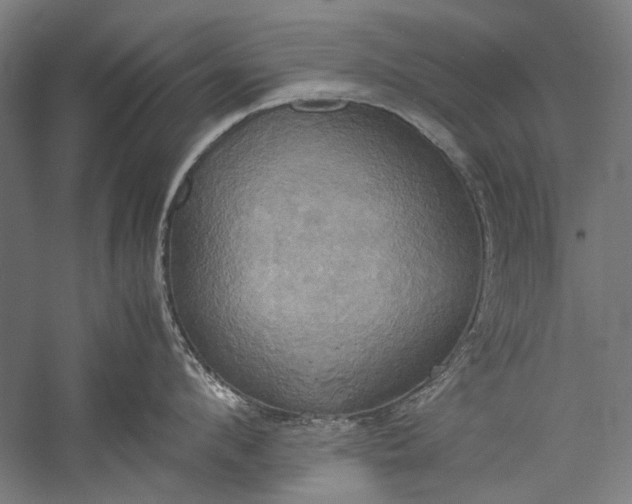 X0000057040912200509231444