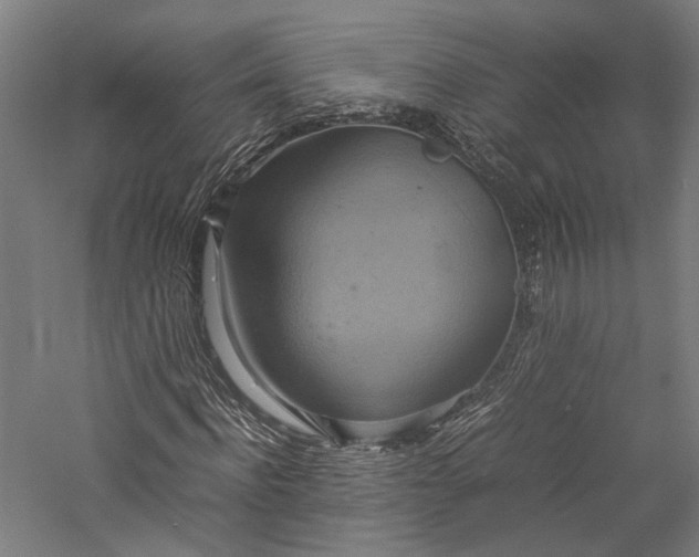 X0000057040916200509231443