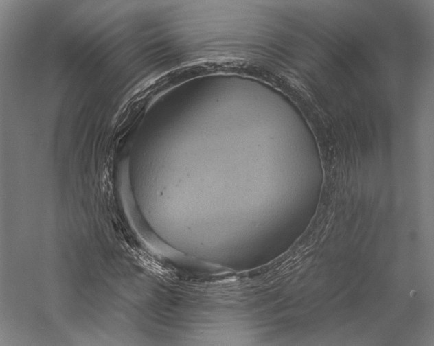 X0000057040920200509231443