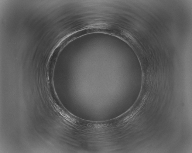 X0000057040923200509231443