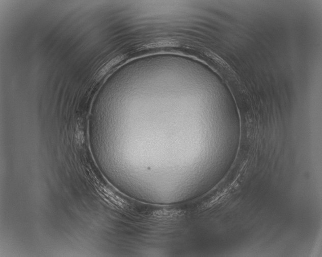 X0000057040929200509231443