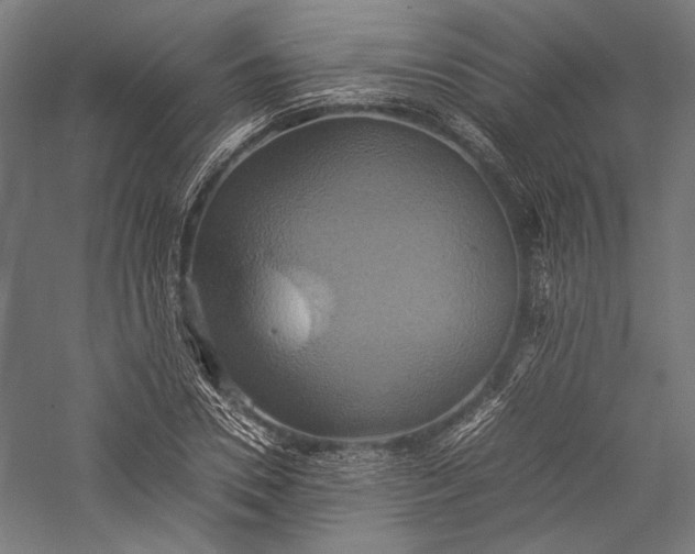 X0000057040930200509231443