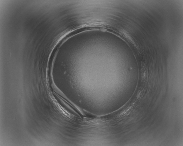 X0000057040932200509231443