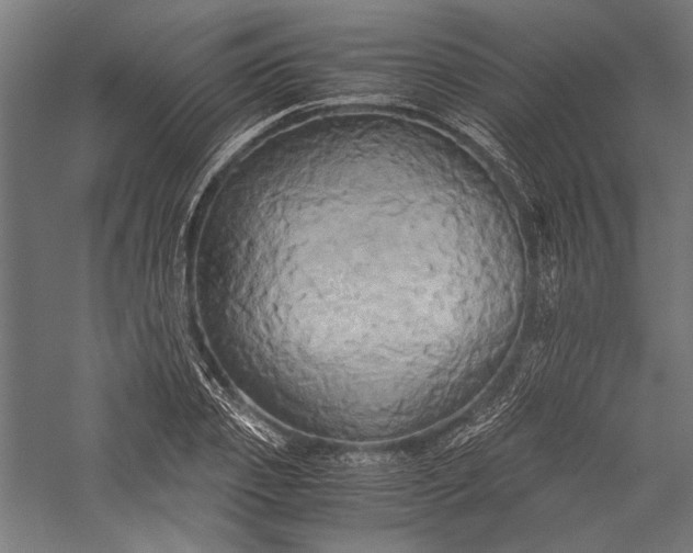 X0000057040933200509231443