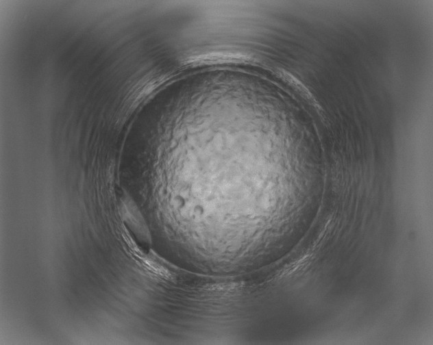 X0000057040937200509231443