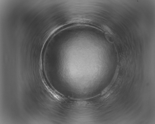 X0000057040940200509231443