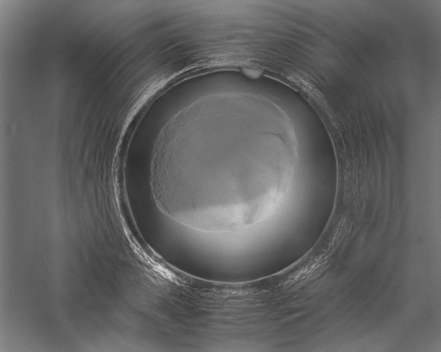X0000057040941200509231443