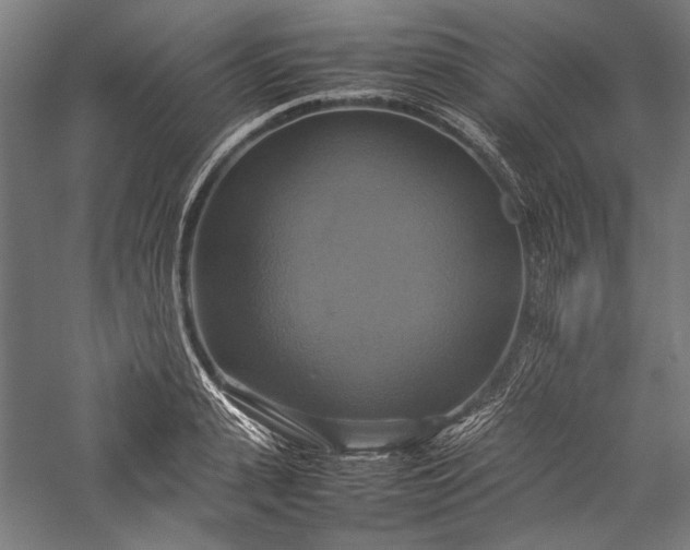 X0000057040943200509231443
