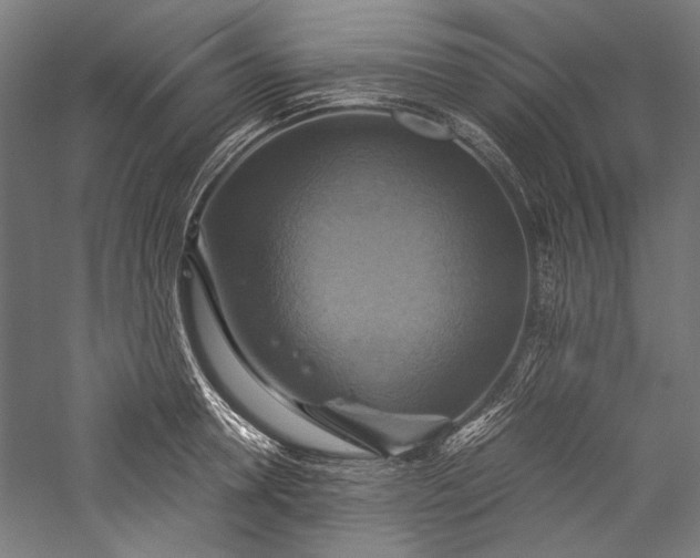 X0000057040946200509231443