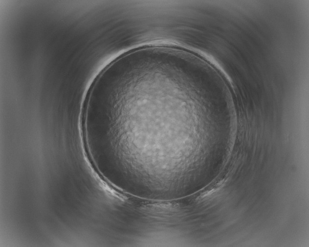 X0000057040959200509231444