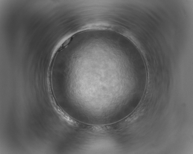 X0000057040960200509231444