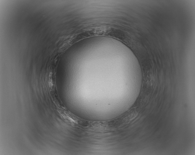 X0000057040962200509231443