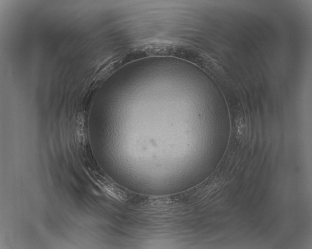 X0000057040964200509231443