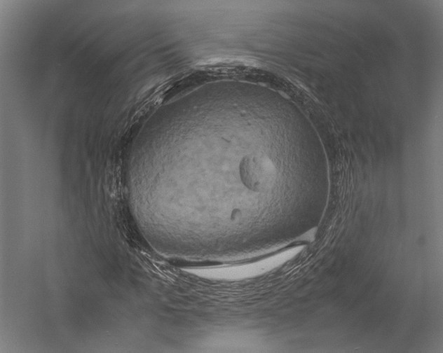 X0000057040965200509231443