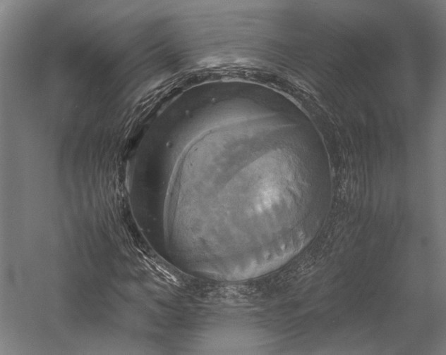 X0000057040966200509231443