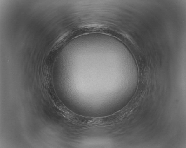 X0000057040967200509231443