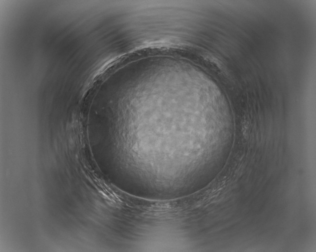 X0000057040968200509231443