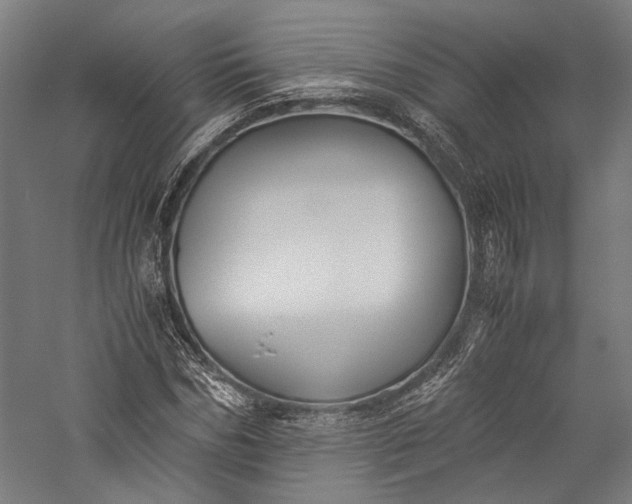 X0000057040970200509231443