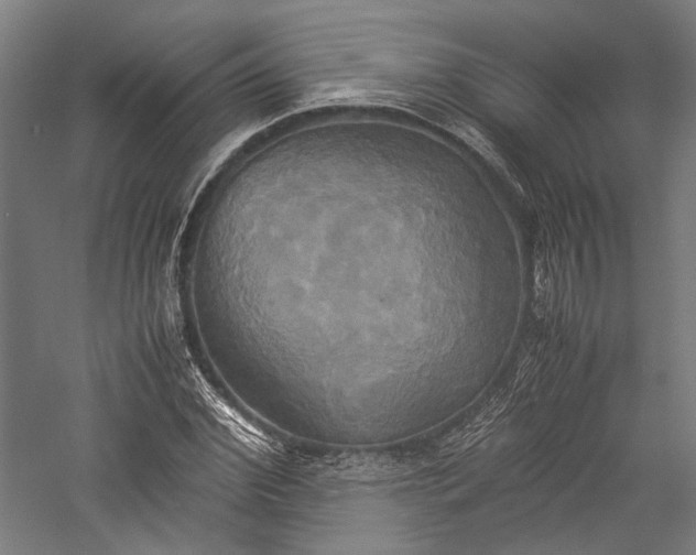 X0000057040972200509231443