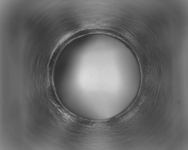 X0000057040974200509231443