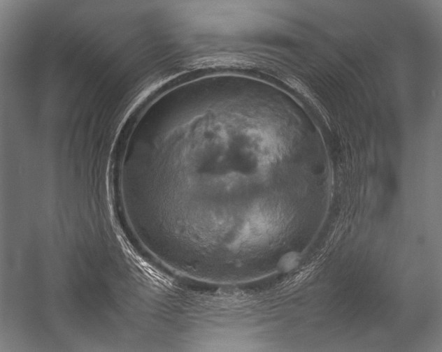 X0000057040983200509231442