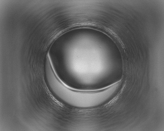 X0000057040985200509231442