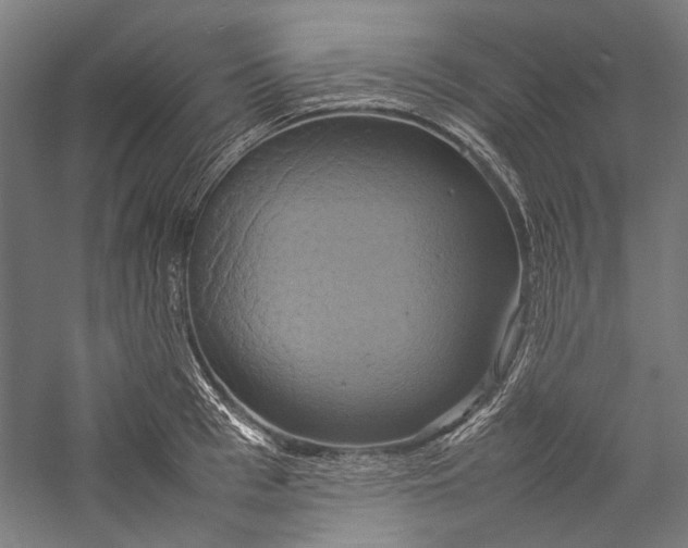 X0000057040993200509231442