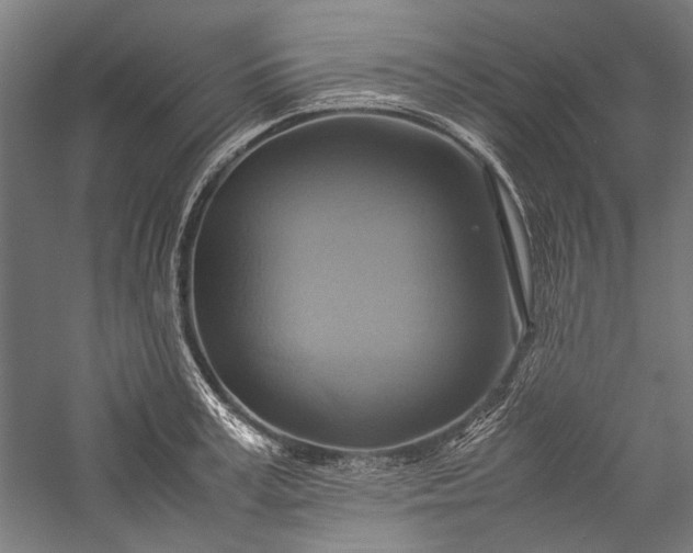 X0000057040995200509231442