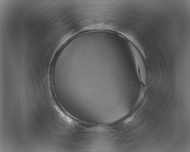 X0000057040998200509231442