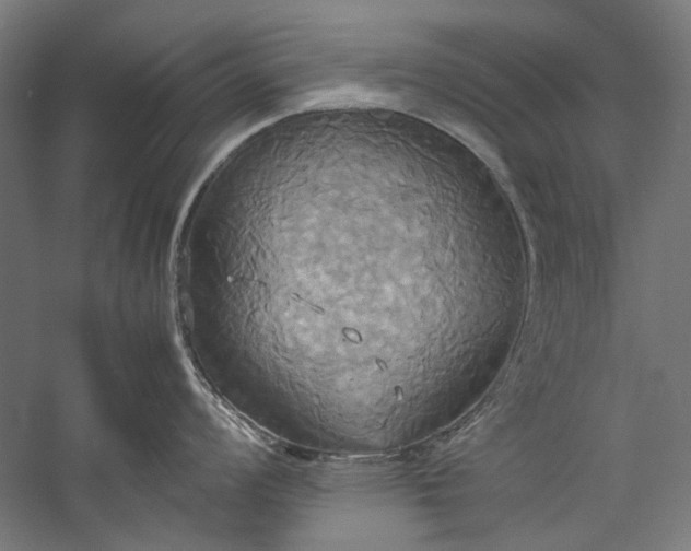 X0000057041008200509231442