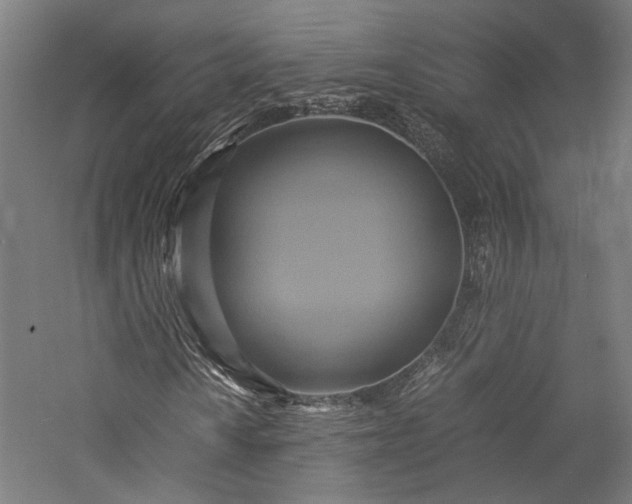 X0000057041010200509231441