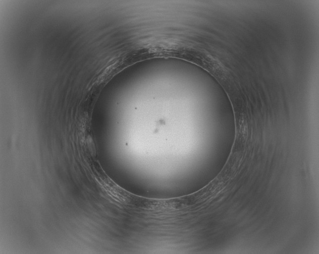 X0000057041012200509231441