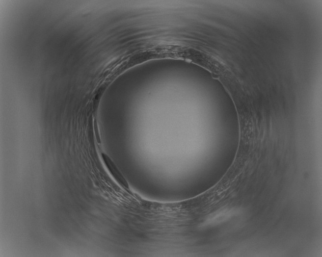 X0000057041013200509231441